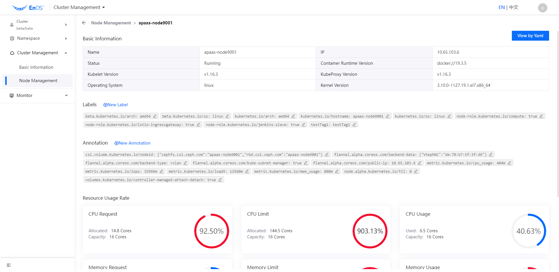 ../../_images/cluster_node_details.png